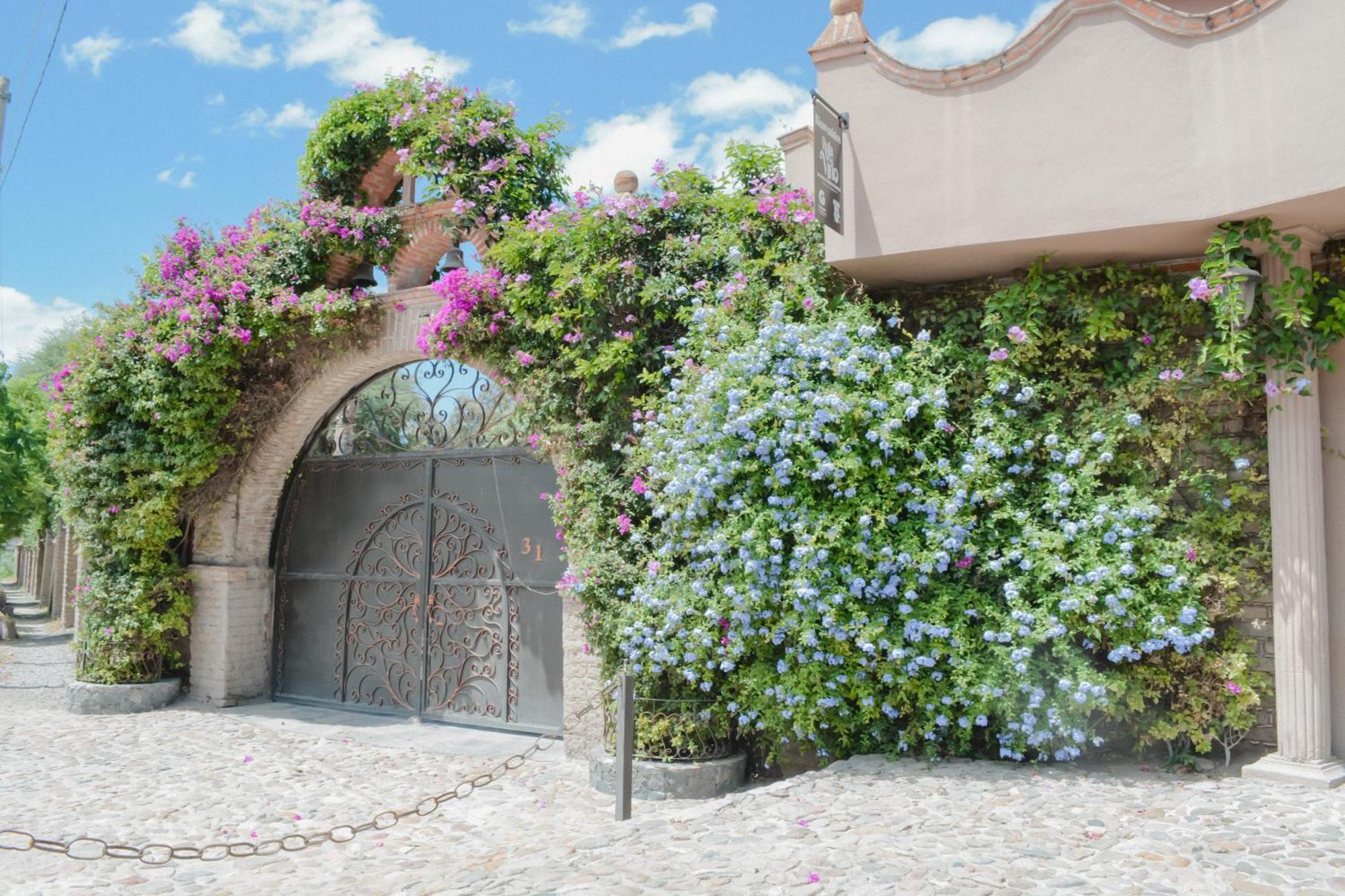 Casa Las Palmas, San Miguel De Allende Cieneguita Exterior photo